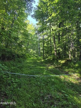 Wooded Hunting and Recreation Land