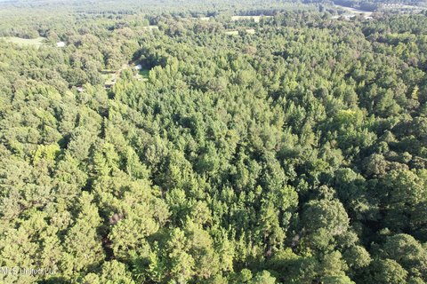 Oakland, MS Land For Sale