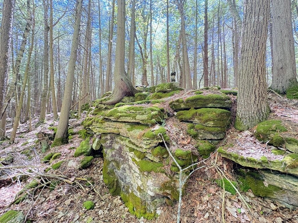 Picture 10