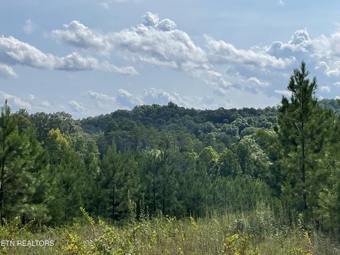Lots & Acreage, Vonore, TN