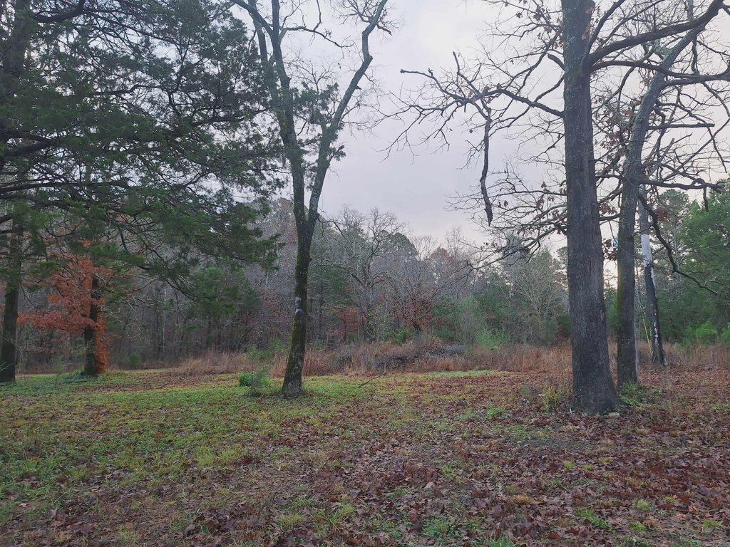 Picture 16