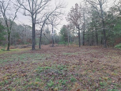 Land Near National Forest