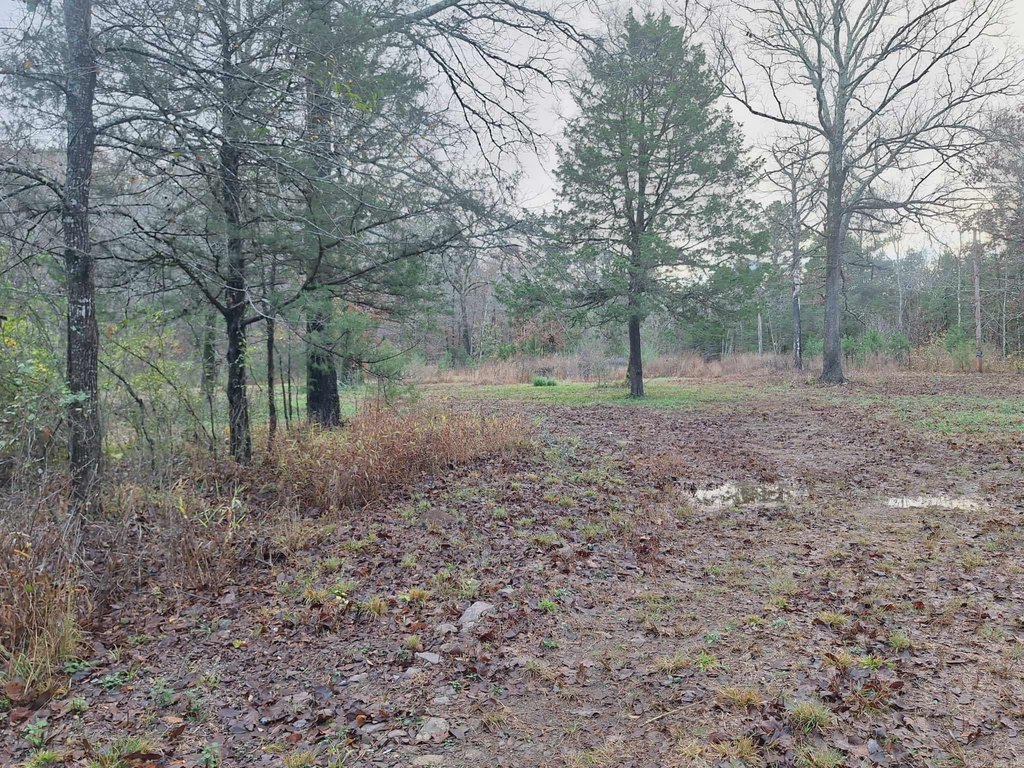 Picture 4