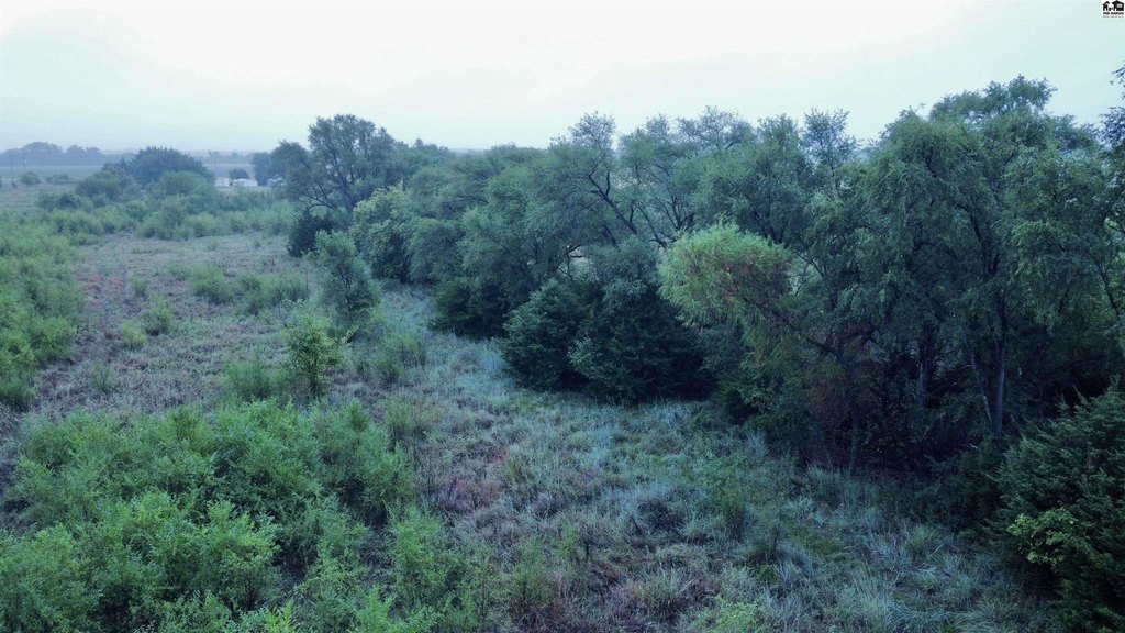 Picture 26