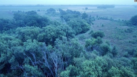 Land, Pretty Prairie, KS