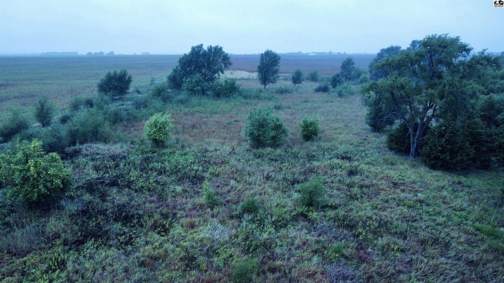 Picture 21
