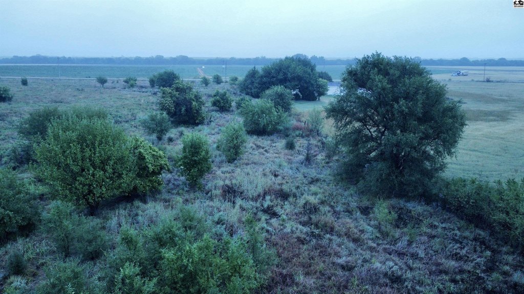 Picture 10