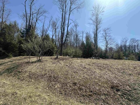 Wooded Lot in Tuscan Ridge