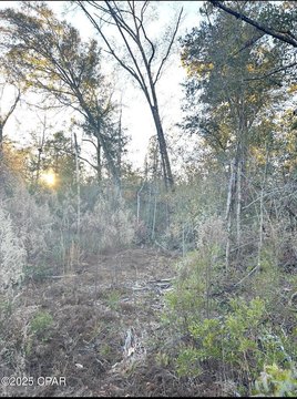 LAND - Marianna, FL