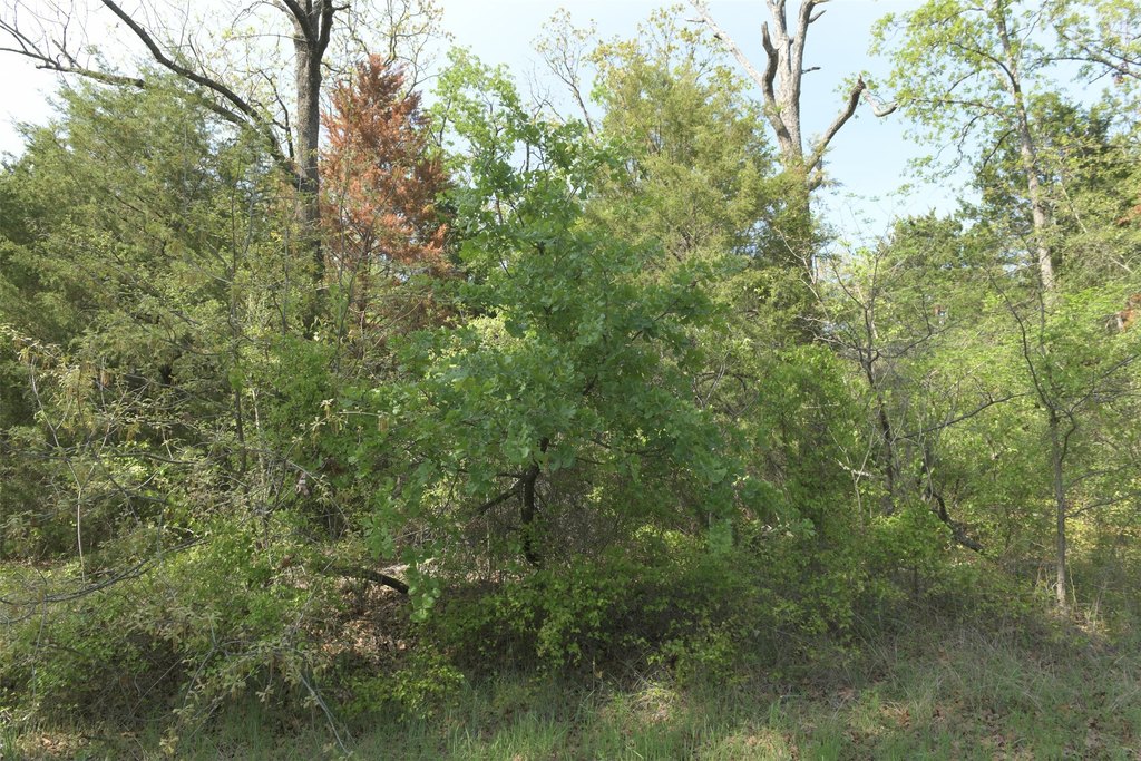 Picture 18