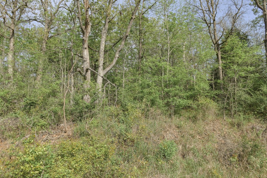 Picture 25