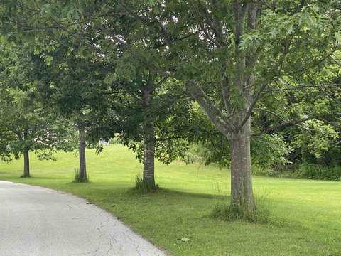 LAND - Rutland City, VT