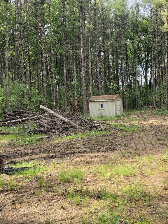 Picture 2