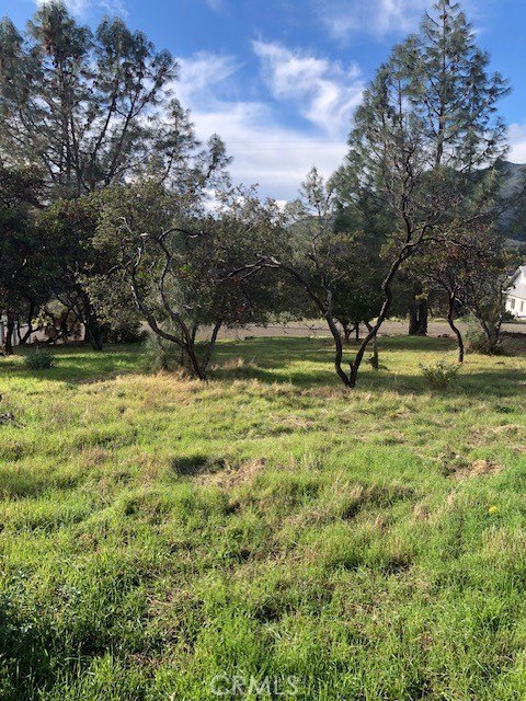 Treed Residential Lot with Views
