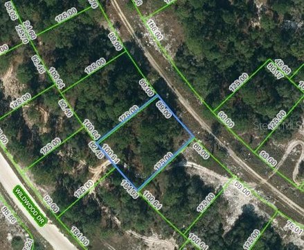 Residential Land in Lake Placid