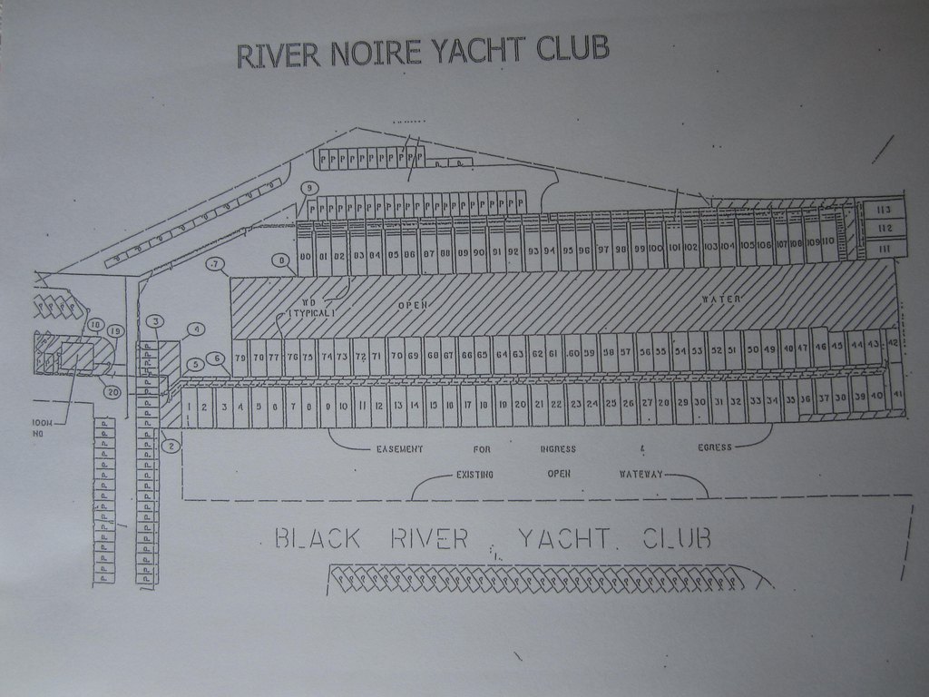 Picture 5