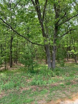 Wooded Acreage Near White Lake