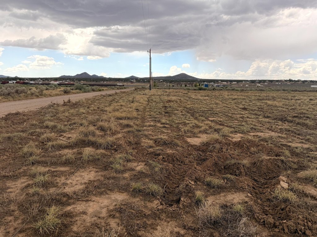 Picture 24