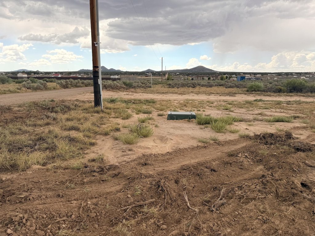 Picture 29