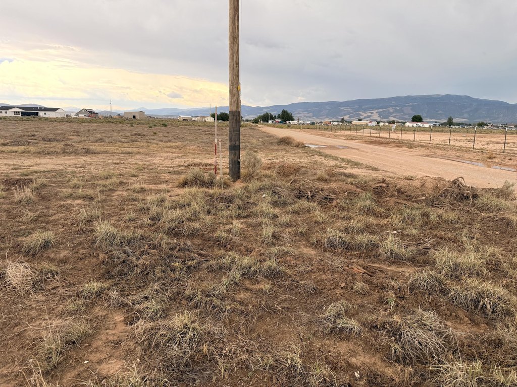 Picture 21