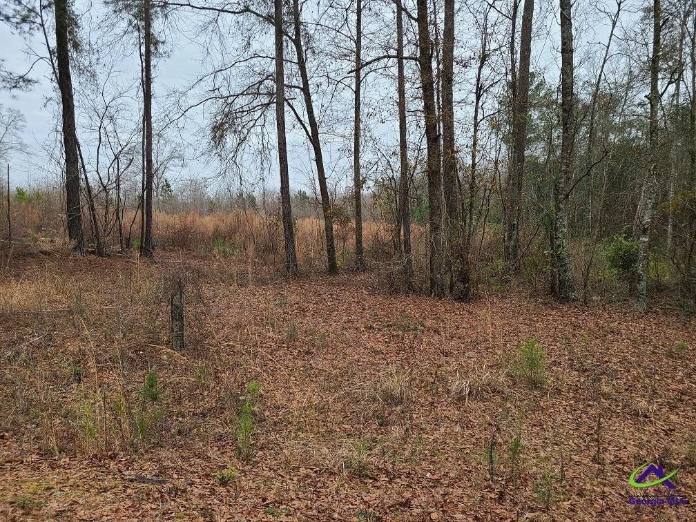 Residential Lot in Fort Valley