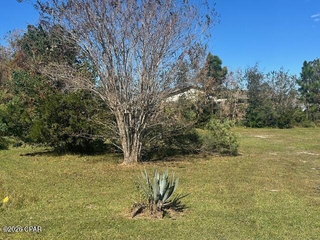 Picture 2