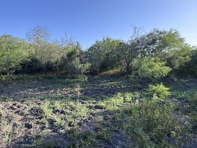 Picture 14