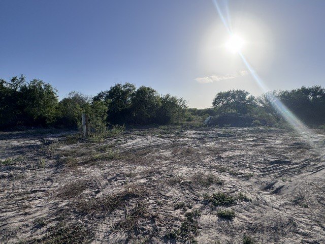 Picture 11