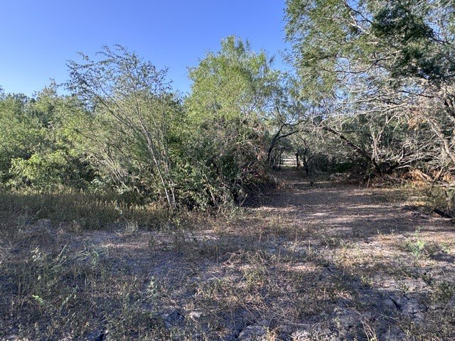 Picture 16