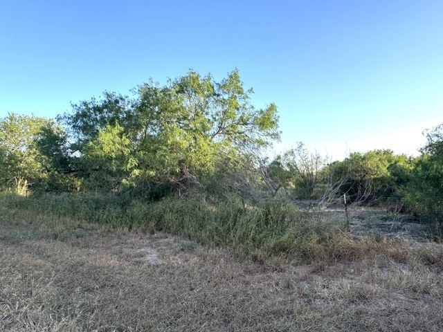 Picture 2