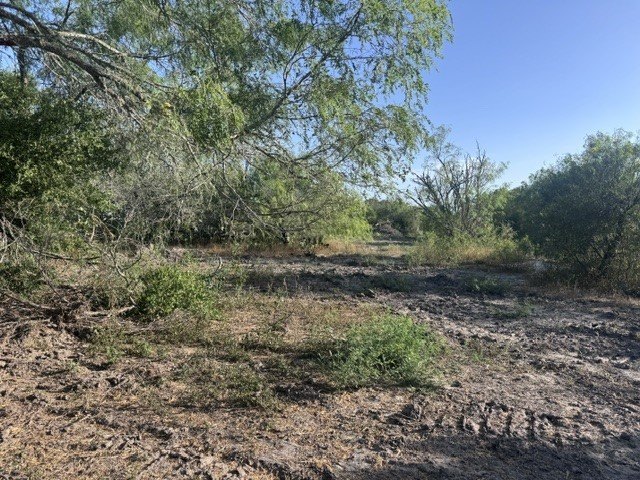 Picture 4