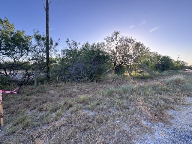 Picture 6