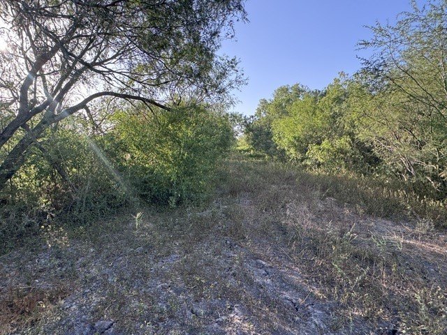 Picture 15