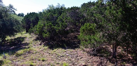 Wooded Hill Country Gated Lot