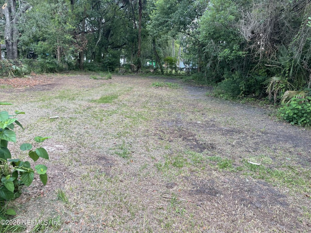 Picture 6