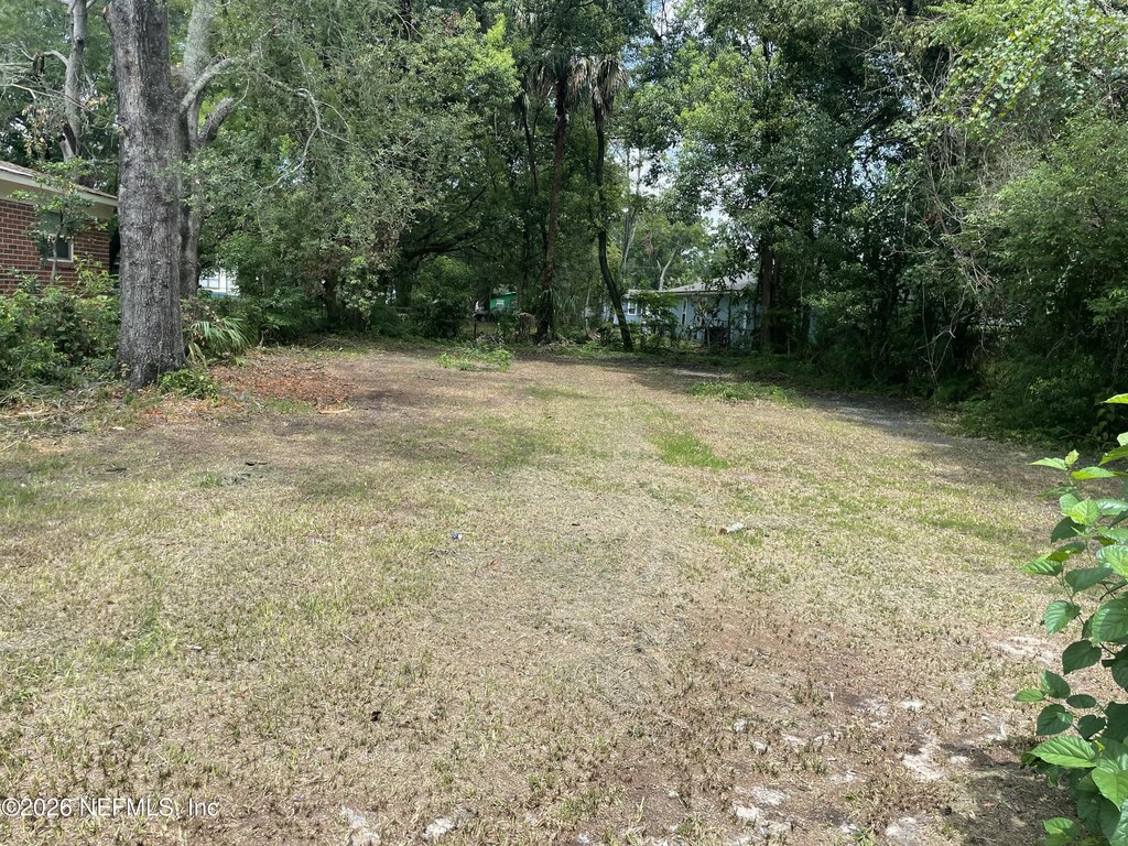 Picture 3