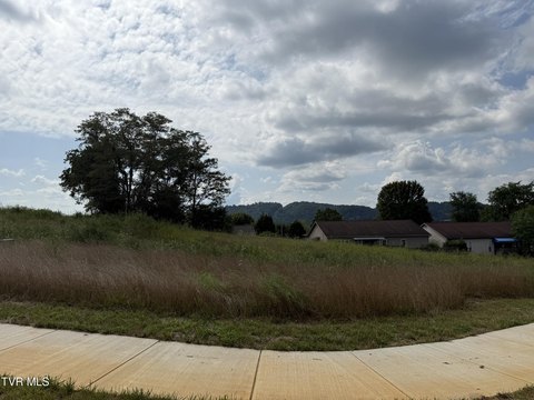 Residential Land in Johnson City