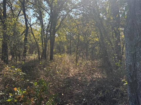 Perrin Ranch with RV Cover