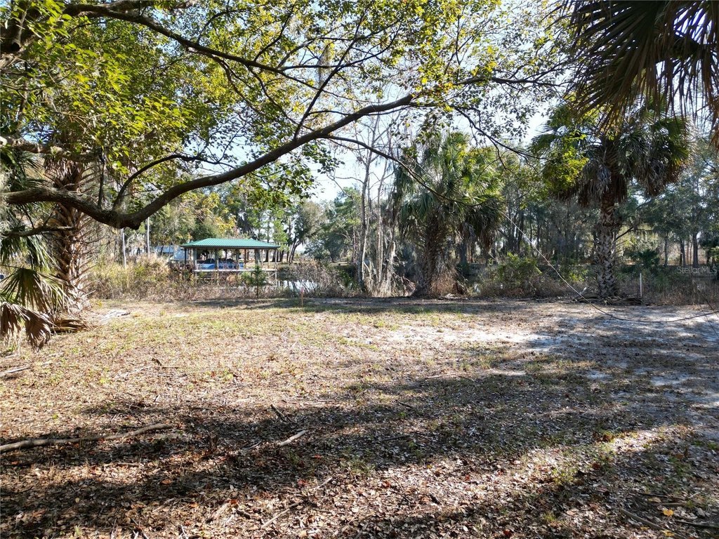 Picture 6