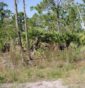 Vacant Land in Malabar, FL