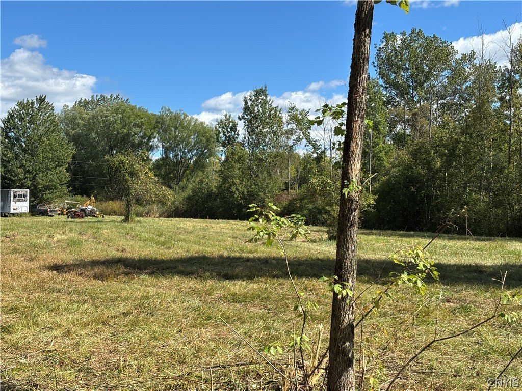 Picture 12