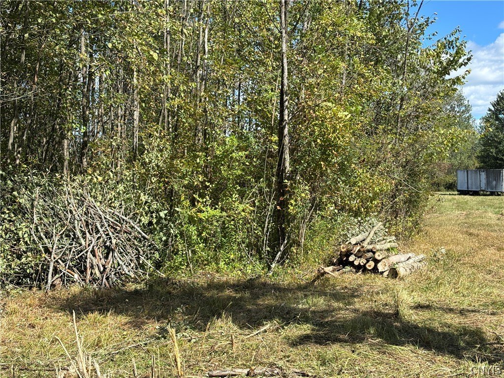 Picture 11