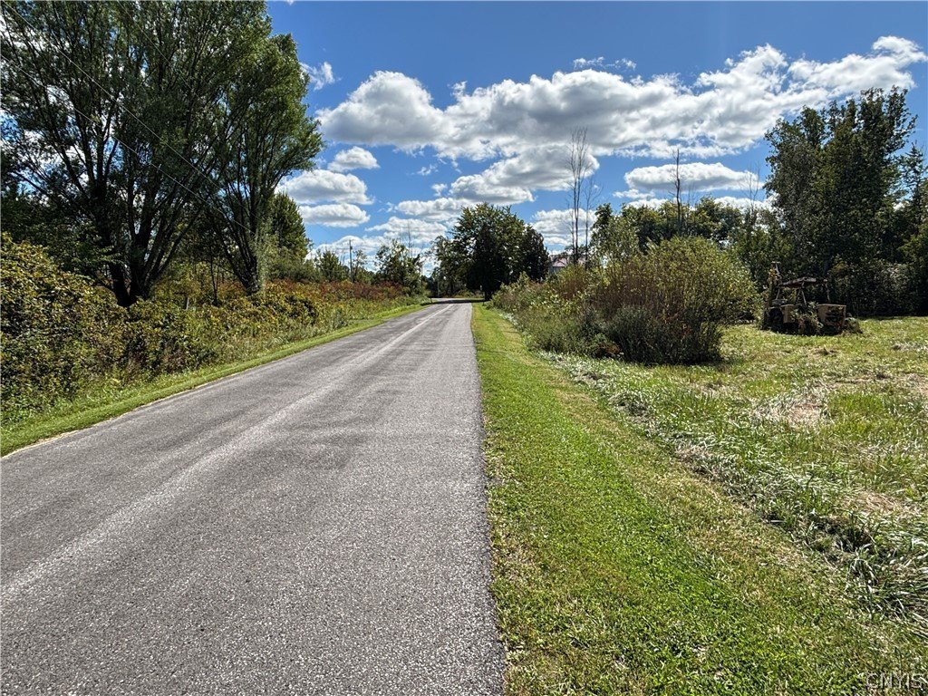 Picture 18