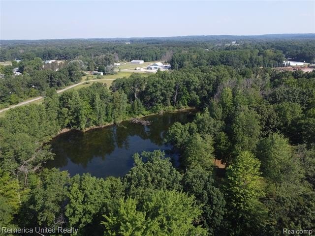 Picture 26