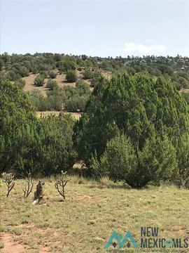 Los Montoyas Acreage For Sale