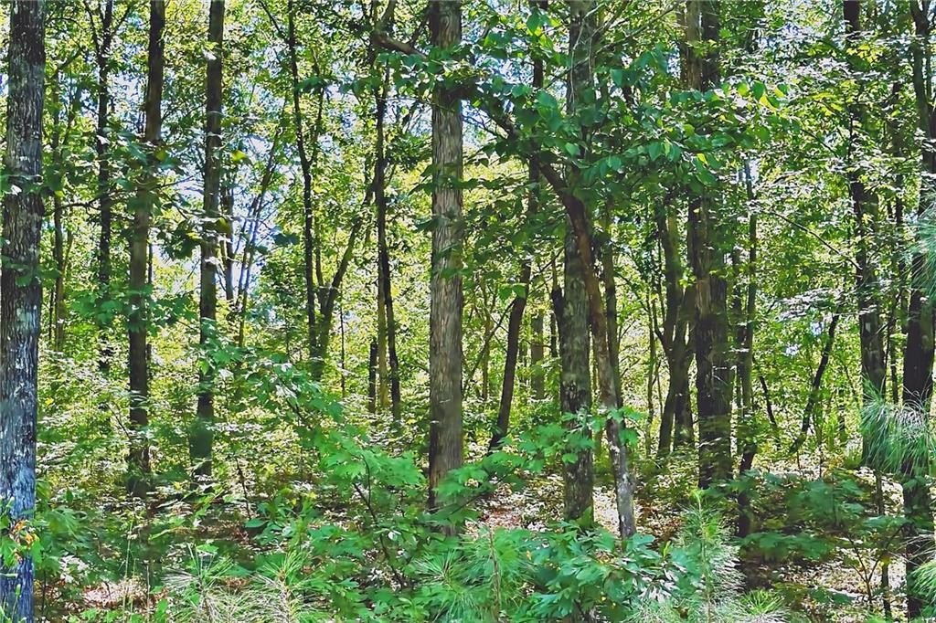 Picture 18