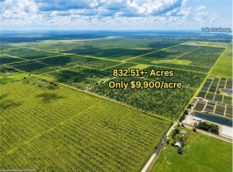 Improved Citrus Farm
