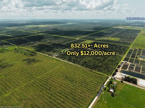 Improved Citrus Farm with Equipment Barn