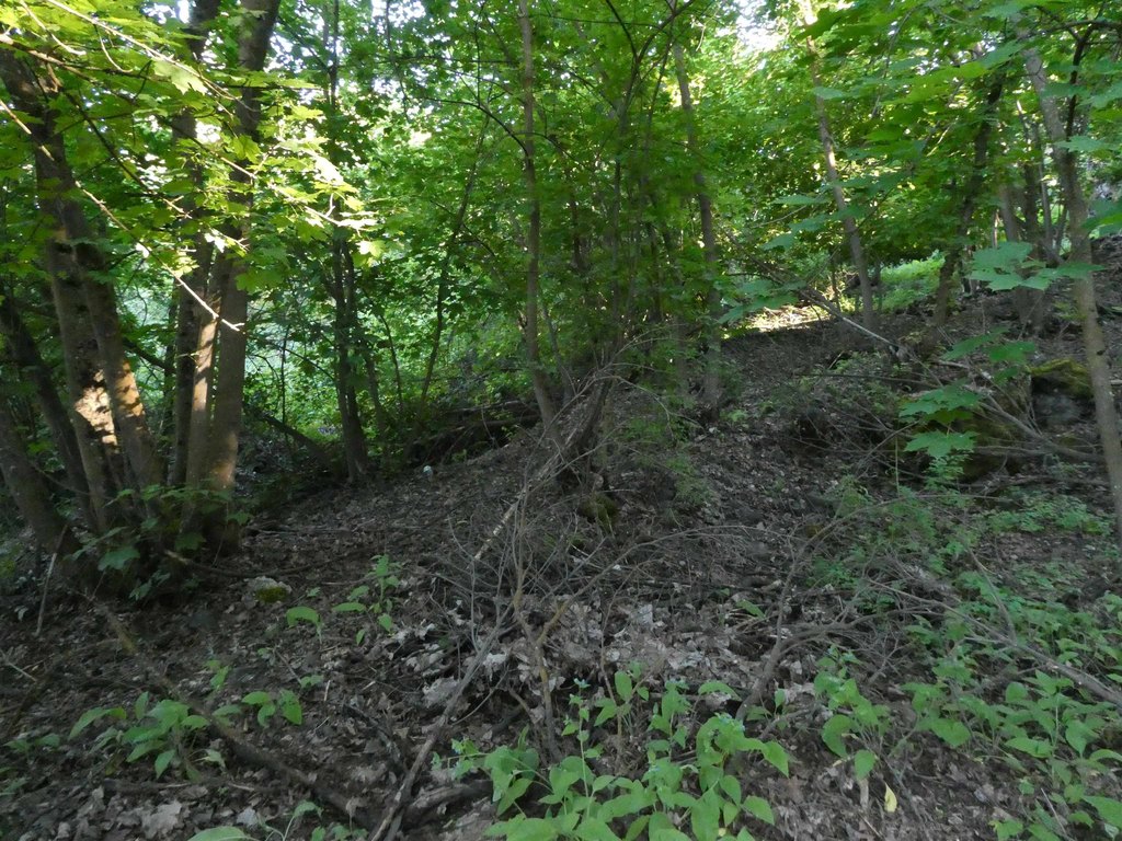 Picture 2