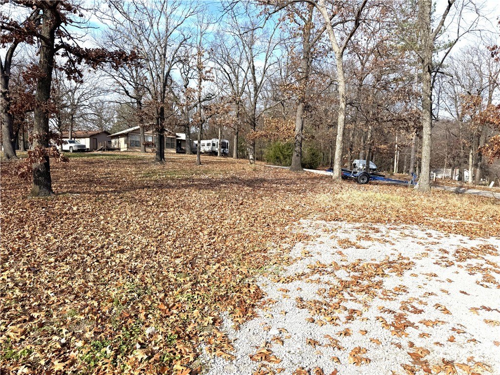 Picture 27